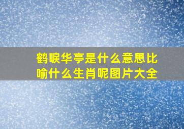 鹤唳华亭是什么意思比喻什么生肖呢图片大全