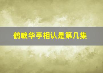 鹤唳华亭相认是第几集