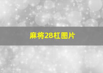 麻将28杠图片