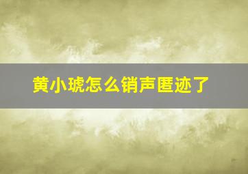 黄小琥怎么销声匿迹了