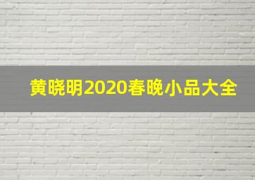 黄晓明2020春晚小品大全