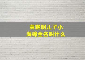 黄晓明儿子小海绵全名叫什么