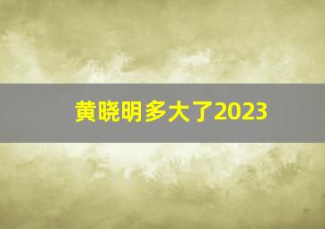 黄晓明多大了2023