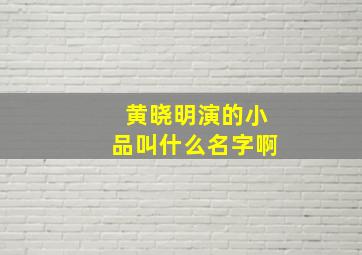 黄晓明演的小品叫什么名字啊