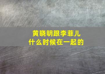 黄晓明跟李菲儿什么时候在一起的