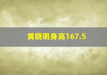 黄晓明身高167.5