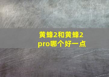 黄蜂2和黄蜂2pro哪个好一点