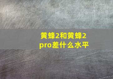 黄蜂2和黄蜂2pro差什么水平