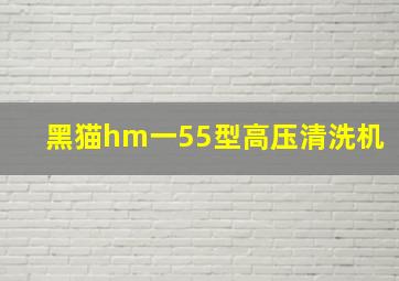 黑猫hm一55型高压清洗机