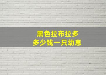 黑色拉布拉多多少钱一只幼崽