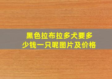 黑色拉布拉多犬要多少钱一只呢图片及价格