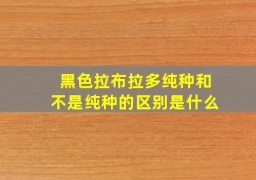 黑色拉布拉多纯种和不是纯种的区别是什么