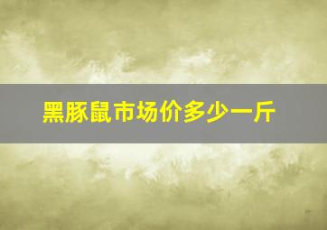 黑豚鼠市场价多少一斤