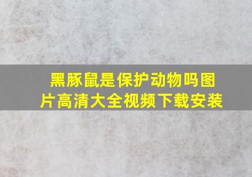 黑豚鼠是保护动物吗图片高清大全视频下载安装