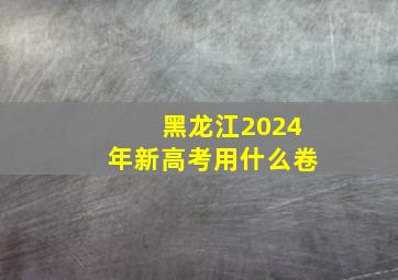 黑龙江2024年新高考用什么卷