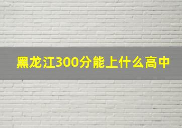 黑龙江300分能上什么高中