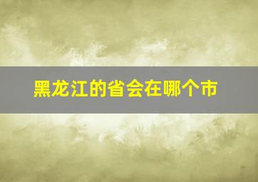 黑龙江的省会在哪个市