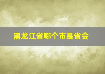 黑龙江省哪个市是省会