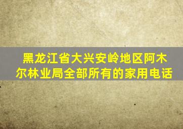 黑龙江省大兴安岭地区阿木尔林业局全部所有的家用电话