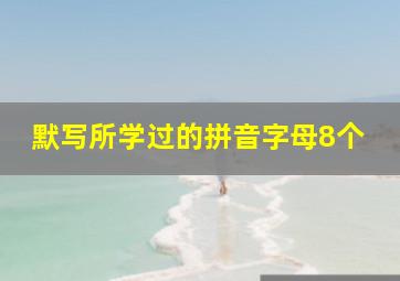 默写所学过的拼音字母8个