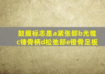 鼓膜标志是a紧张部b光锥c锤骨柄d松弛部e镫骨足板