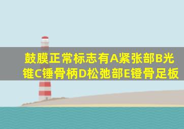 鼓膜正常标志有A紧张部B光锥C锤骨柄D松弛部E镫骨足板