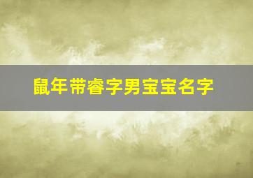 鼠年带睿字男宝宝名字