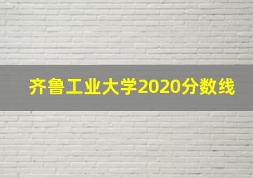 齐鲁工业大学2020分数线