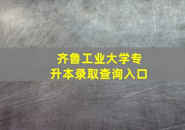 齐鲁工业大学专升本录取查询入口