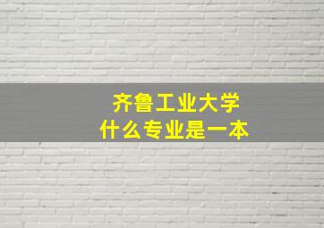 齐鲁工业大学什么专业是一本