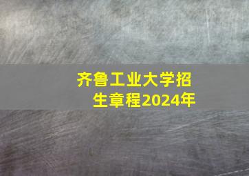 齐鲁工业大学招生章程2024年