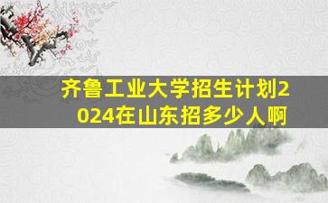 齐鲁工业大学招生计划2024在山东招多少人啊