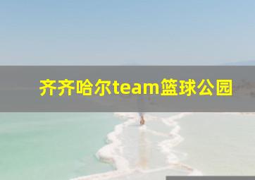 齐齐哈尔team篮球公园