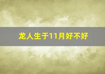 龙人生于11月好不好