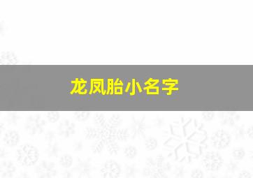 龙凤胎小名字