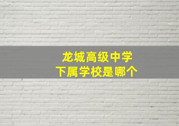 龙城高级中学下属学校是哪个