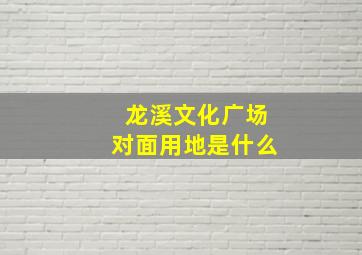 龙溪文化广场对面用地是什么