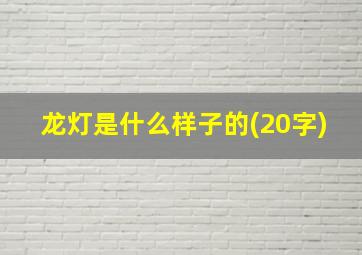 龙灯是什么样子的(20字)