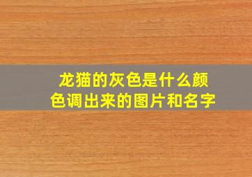 龙猫的灰色是什么颜色调出来的图片和名字