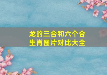 龙的三合和六个合生肖图片对比大全