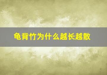 龟背竹为什么越长越散