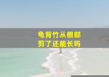 龟背竹从根部剪了还能长吗