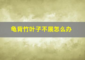 龟背竹叶子不展怎么办