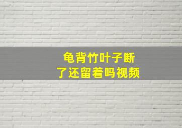 龟背竹叶子断了还留着吗视频