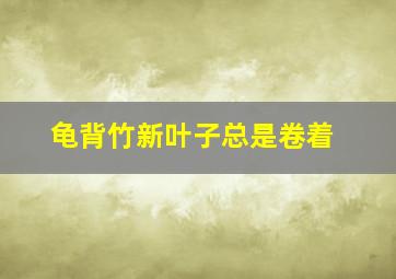 龟背竹新叶子总是卷着