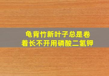 龟背竹新叶子总是卷着长不开用磷酸二氢钾