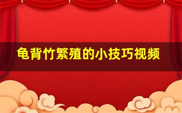 龟背竹繁殖的小技巧视频