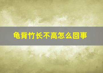 龟背竹长不高怎么回事