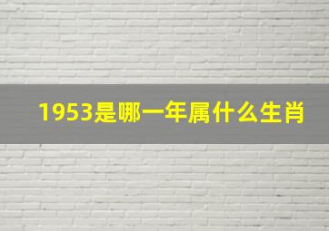 1953是哪一年属什么生肖