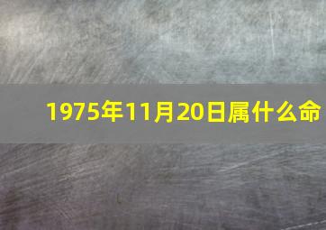 1975年11月20日属什么命